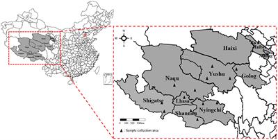 Antimicrobial susceptibility and multilocus sequence typing of Clostridium perfringens isolated from yaks in Qinghai-Tibet plateau, China